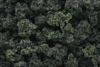 Woodland Scenics Bushes Clump Foliage Frst Bld ( WOOFC149)