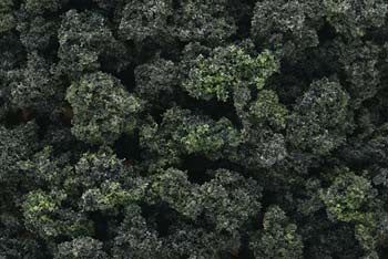 Woodland Scenics Bushes Clump Foliage Frst Bld ( WOOFC149)