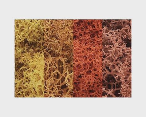 Woodland Scenics Lichen Bag, Autumn Mix/82 cu. in. (WOOF1134)