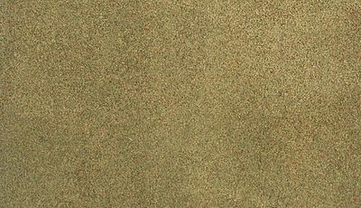 Woodland Scenics Ready grass 50 X 100 Mat Summer Lrg (WOORG5124)