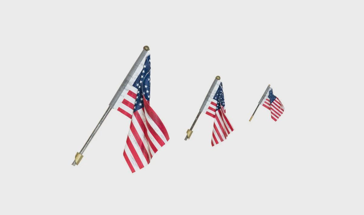 Woodland Scenics Wall Mount Flag with Spotlight Value Pack (WOOJP5924)