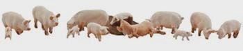 Woodland Scenics Yorkshire Pigs HO (WOOA1957)