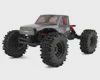 Redcat Ascent-18 Apex 1/18 4WD RTR Brushless Rock Crawler w/2.4GHz Radio, Battery &amp; Charger (RER422__), Color: gray