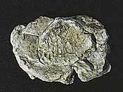Woodland Scenics Wind Rock rock mold 5×7 (WDS1237)