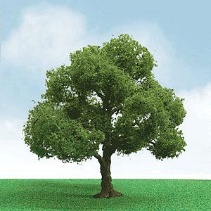 JTT Elder Trees 1.75 - 2'' (JTT92204)