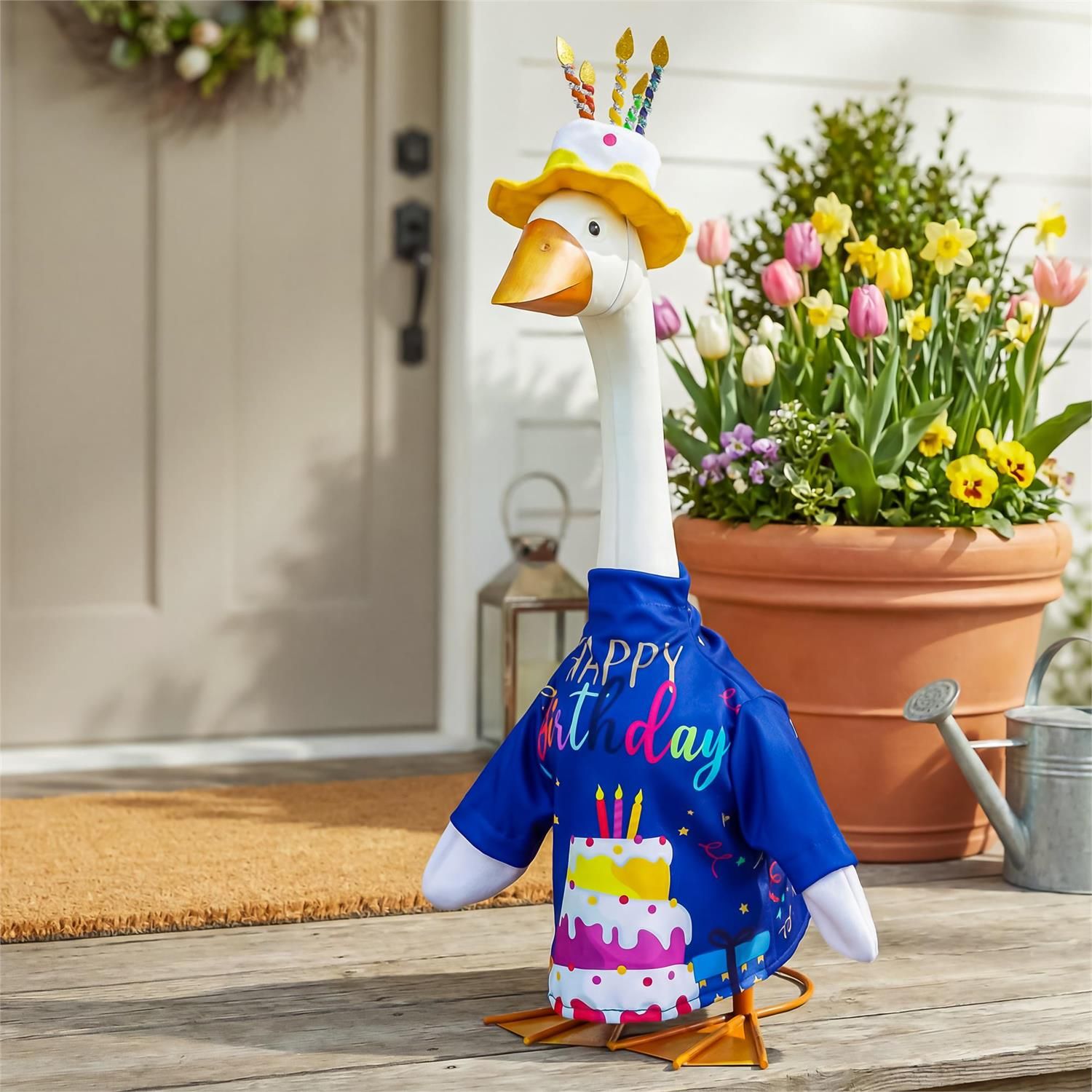 Birthday Celebration - Porch Goose Outfit