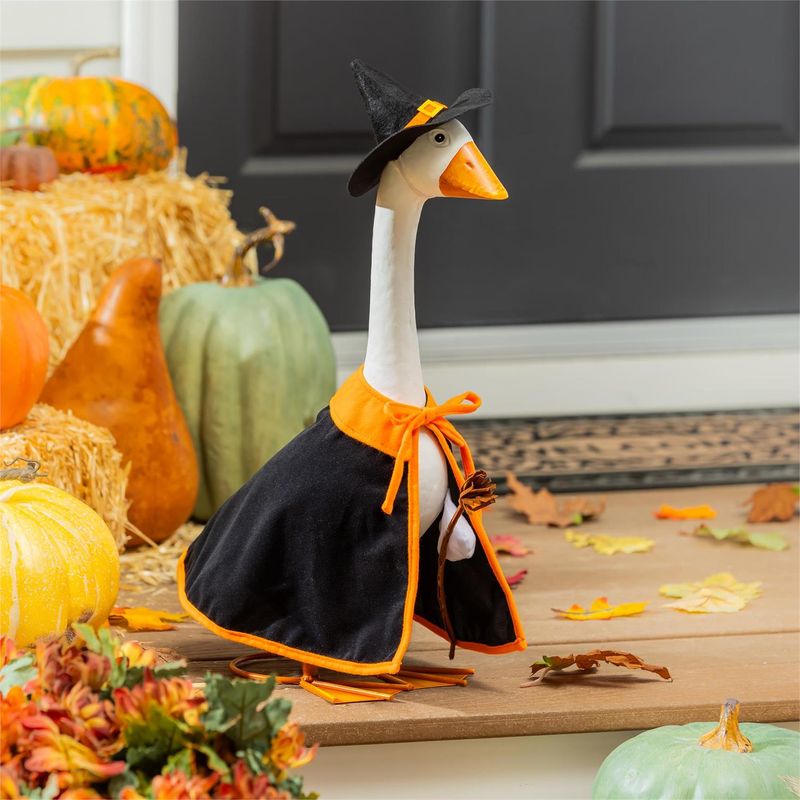 Witch - Porch Goose Outfit