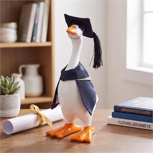 Graduation - Desk Goose Outfit