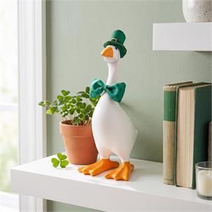 St Patrick's - Desk Goose Outfit