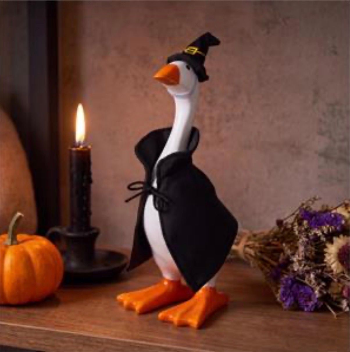 Witch - Desk Goose Outfit