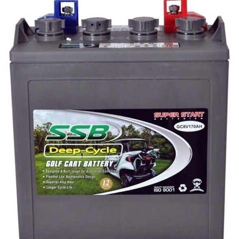 SSB Golf Cart Deep Cycle Battery 6V 225AH (Set of 8)