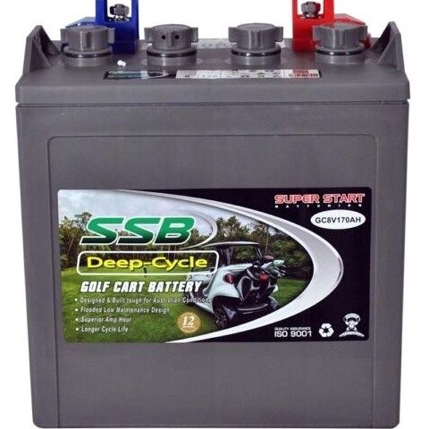 SSB Golf Cart Deep Cycle Battery 8V 170AH (Set of 6)