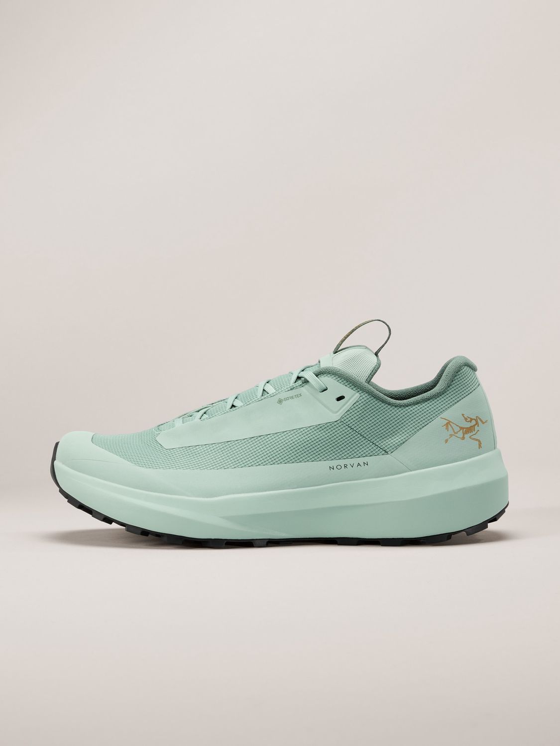 Arc'teryx Norvan LD 4 GTX - Men's