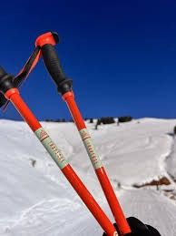 Black Diamond Traverse Ski Poles