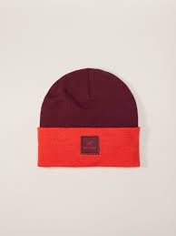 Arc'Teryx Colour Block Toque