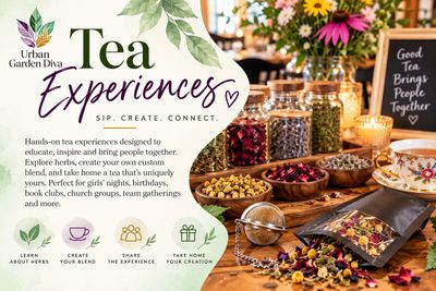 Tea Experiences