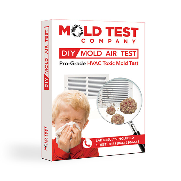 DIY Mold Test Kit