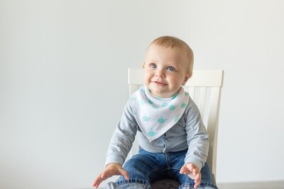 Bandana Bibs