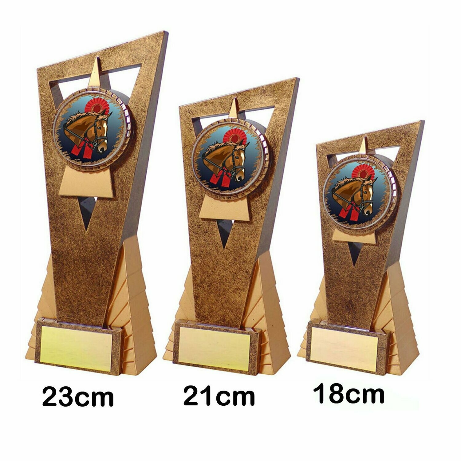 Equestrian / Horse Trophies - Edge, Style & Size of Trophy: 18cm - Coloured