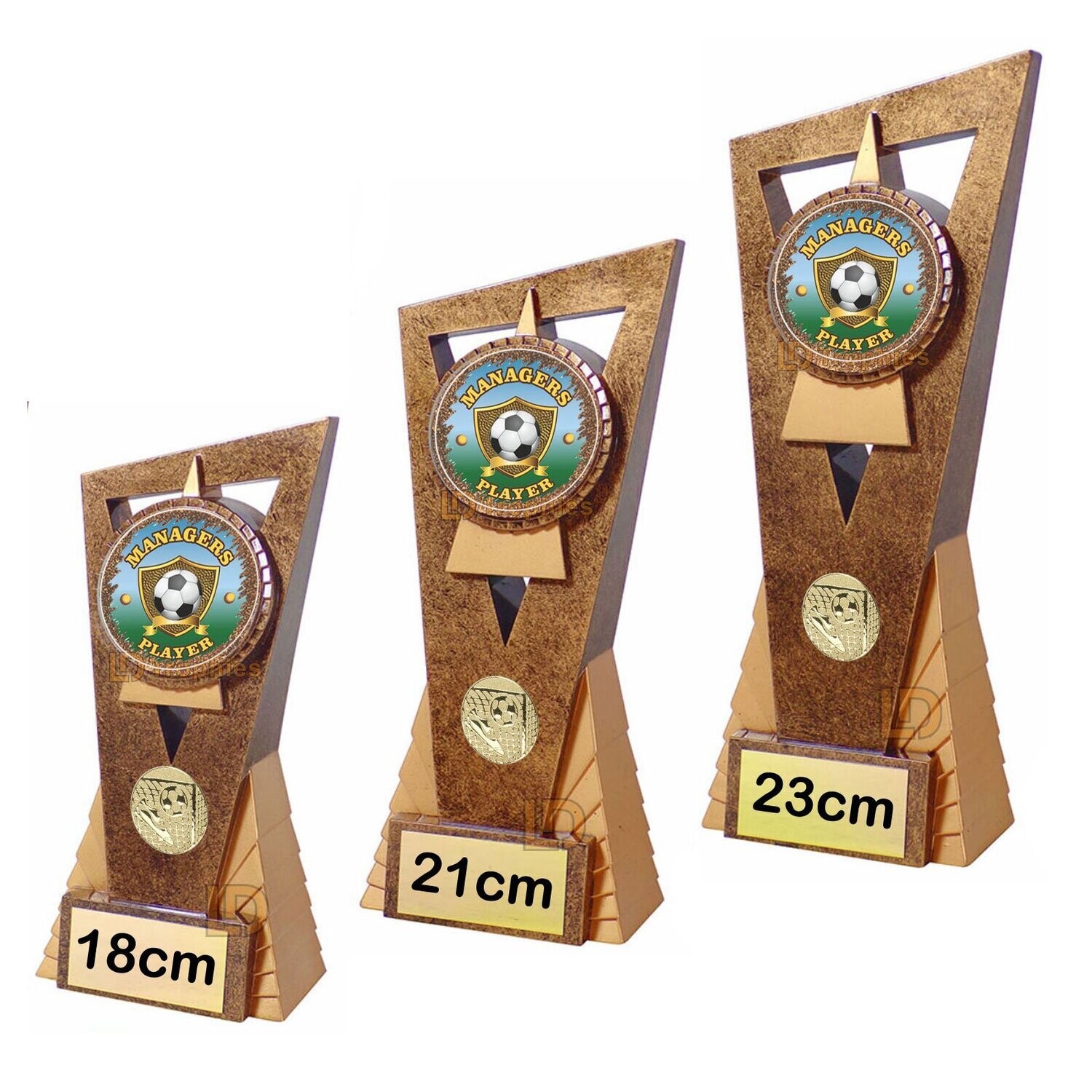 Managers Player - Football Trophy - Edge, Style & Size of Trophy: 18cm - Coloured