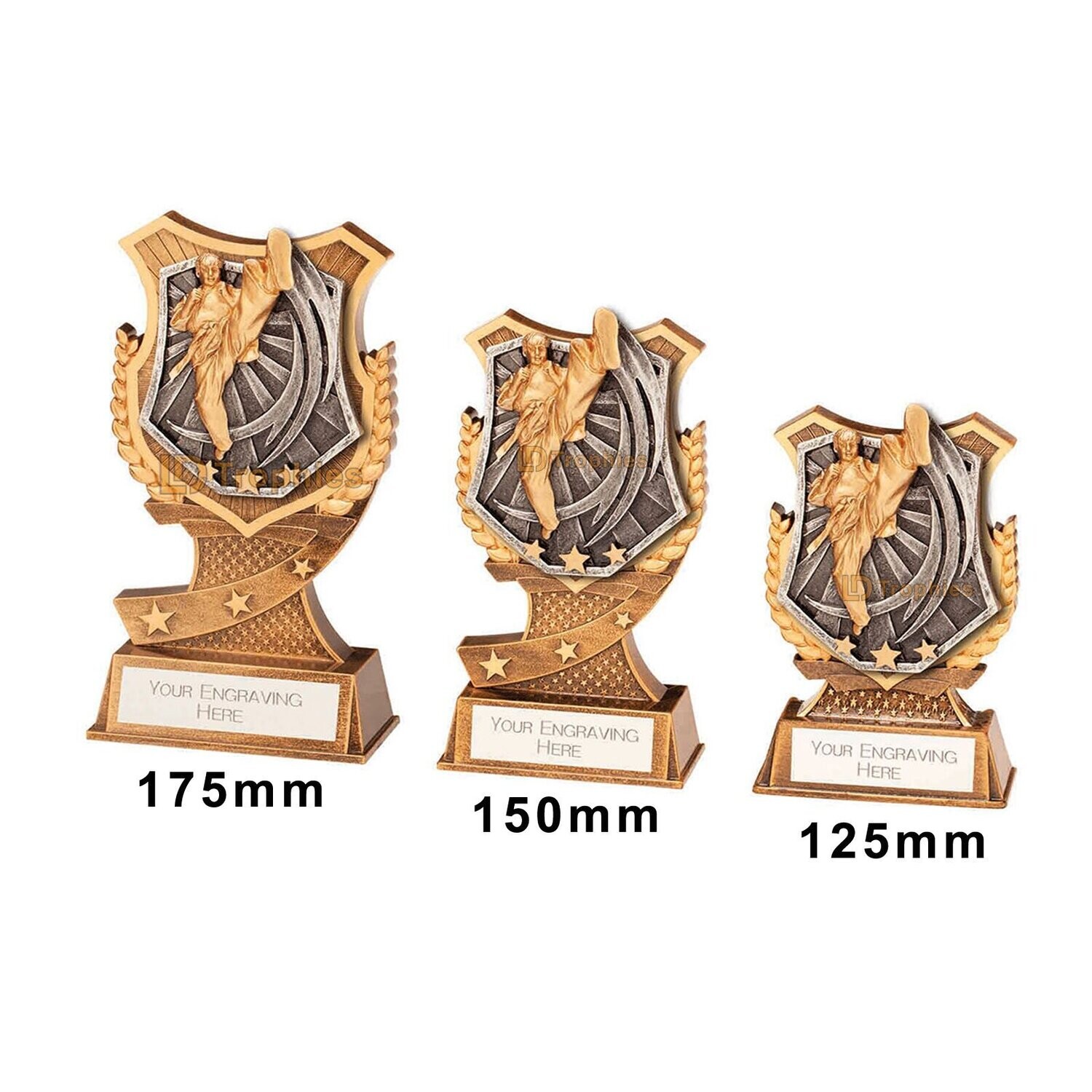 Martial Arts / Karate Trophies, Style & Size of Trophy: 125mm High (A)