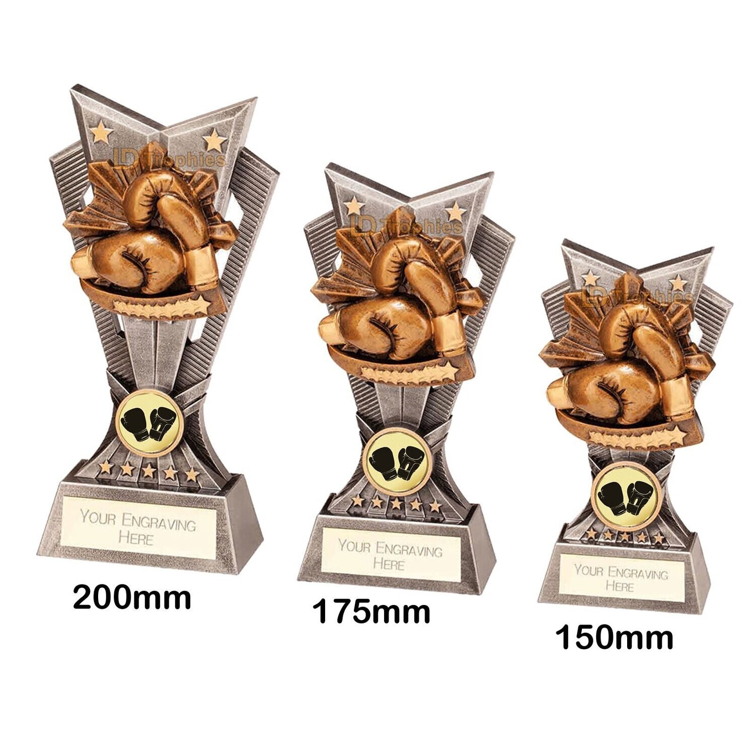 Boxing Trophies - Spectre, Style & Size of Trophy: 150mm High (A)