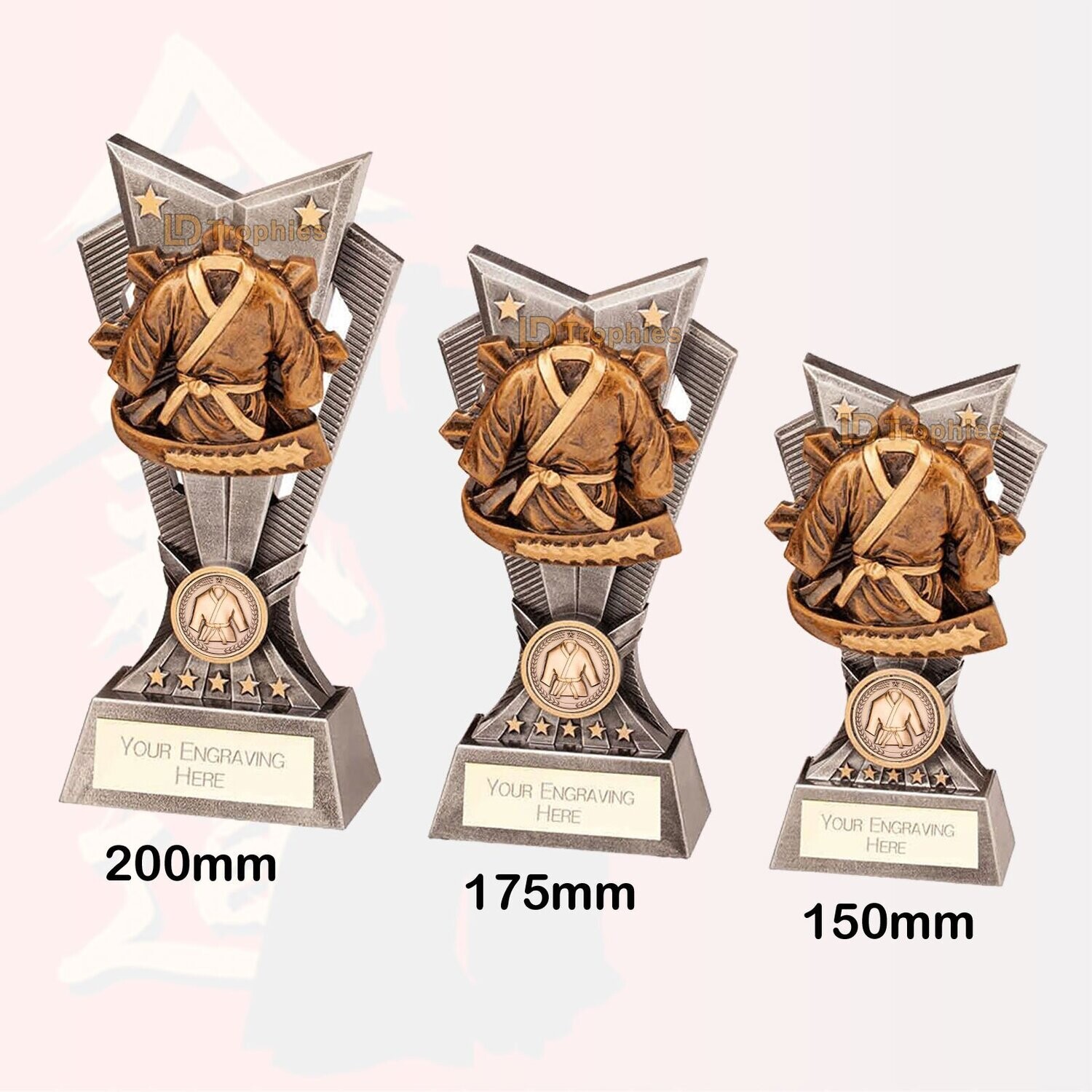 Martial Arts Trophies - Spectre, Style & Size of Trophy: 150mm High (A)