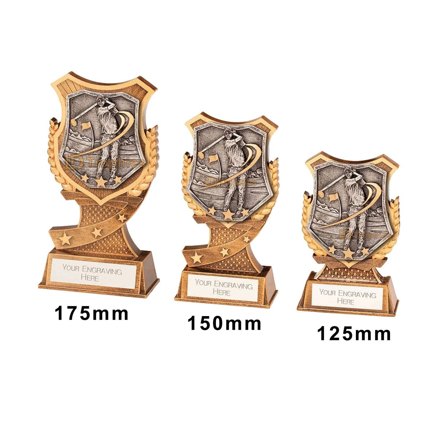 Male Golf Trophies - Titan RT22055, Style & Size of Trophy: 125mm High (A)