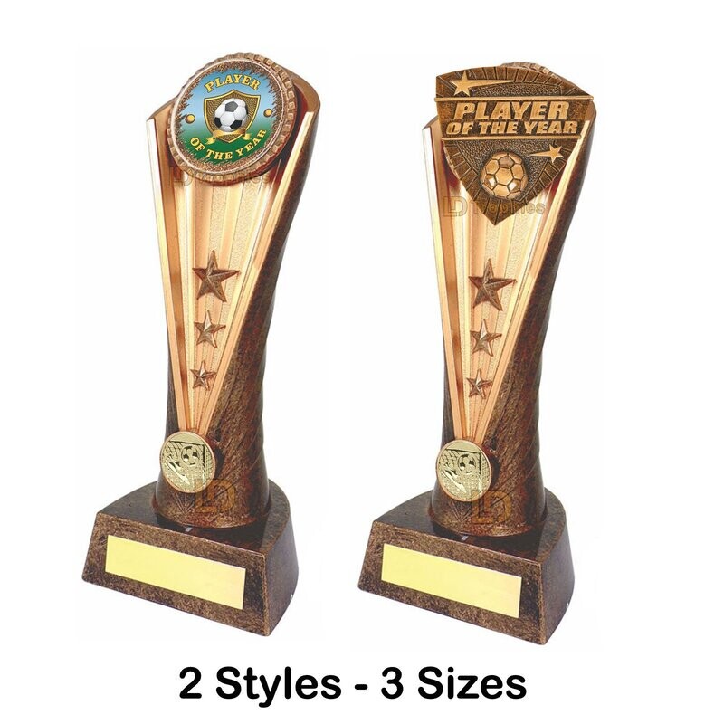 Player of the Year - Football Trophy - Cobra