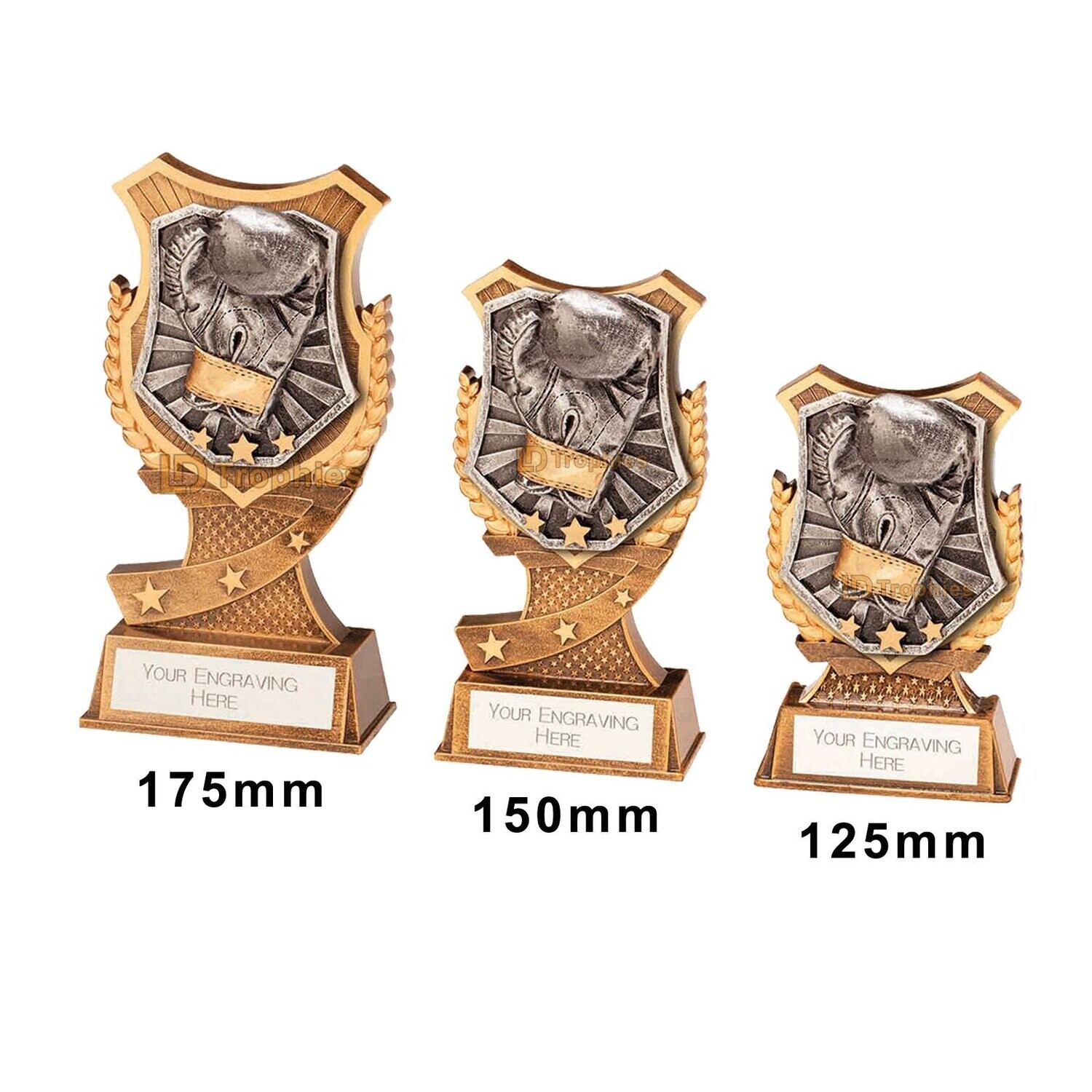 Boxing Trophies - Titan, Style & Size of Trophy: 125mm High (A)