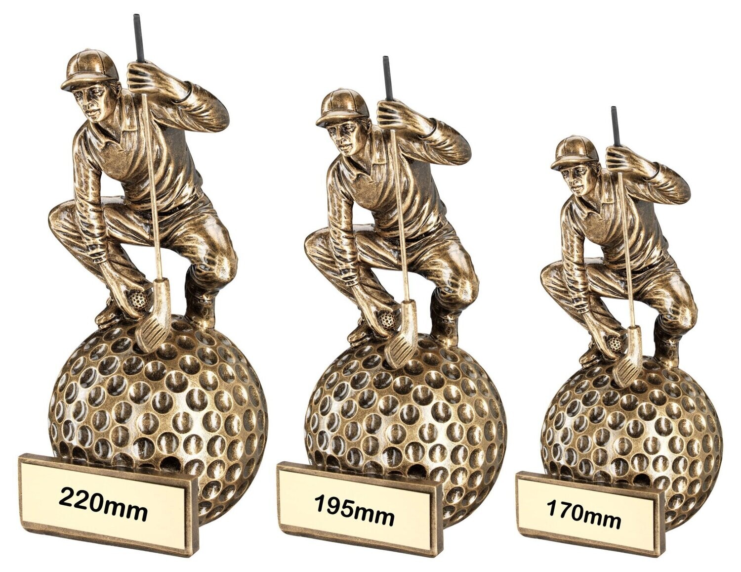 Golf Trophy - RF258 - Male Golfer, Height of Trophy: 170mm (RF521A)