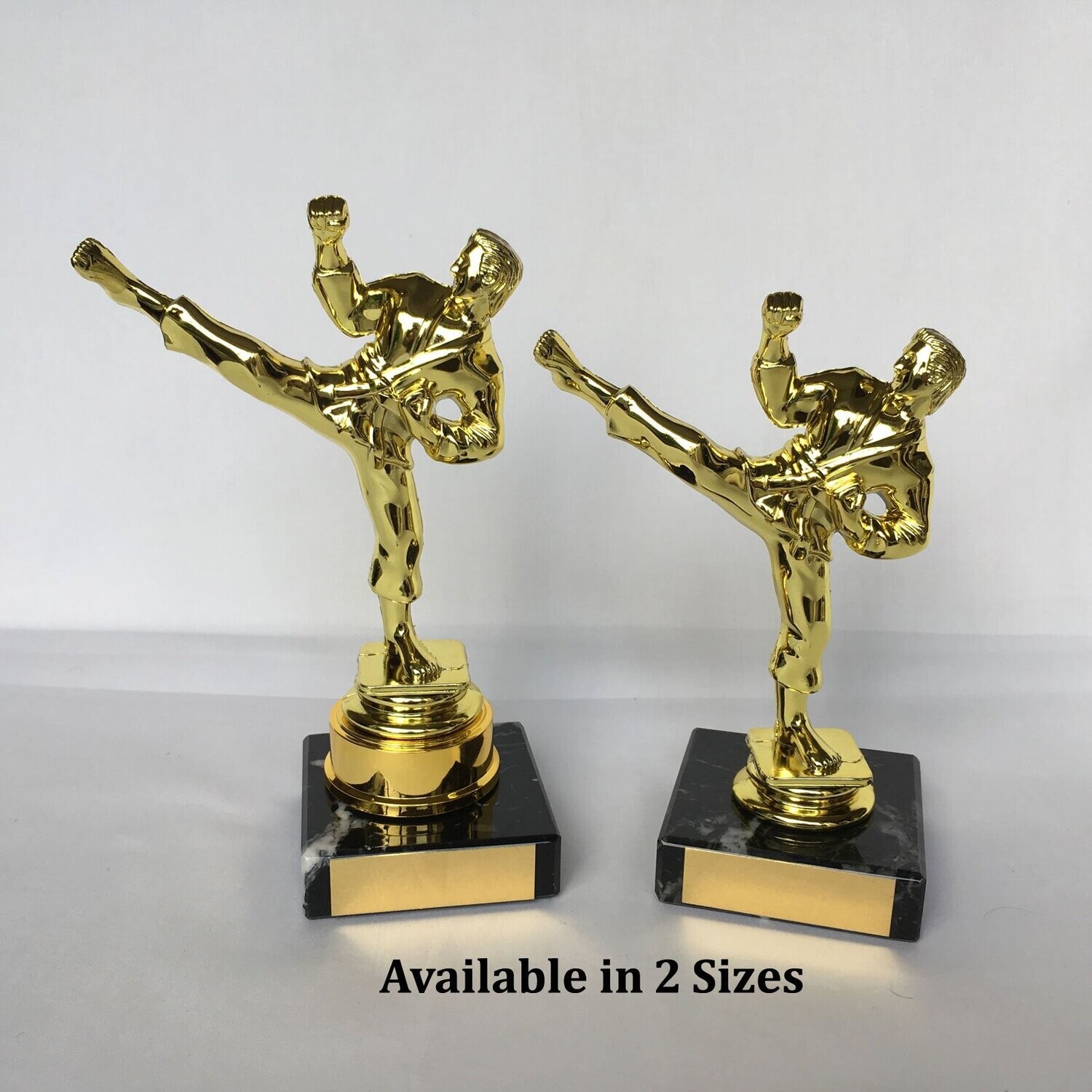 Martial Arts Trophies - Gold