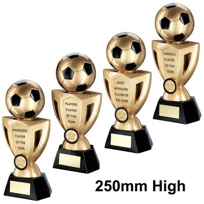 End of Season Football Trophy RF680