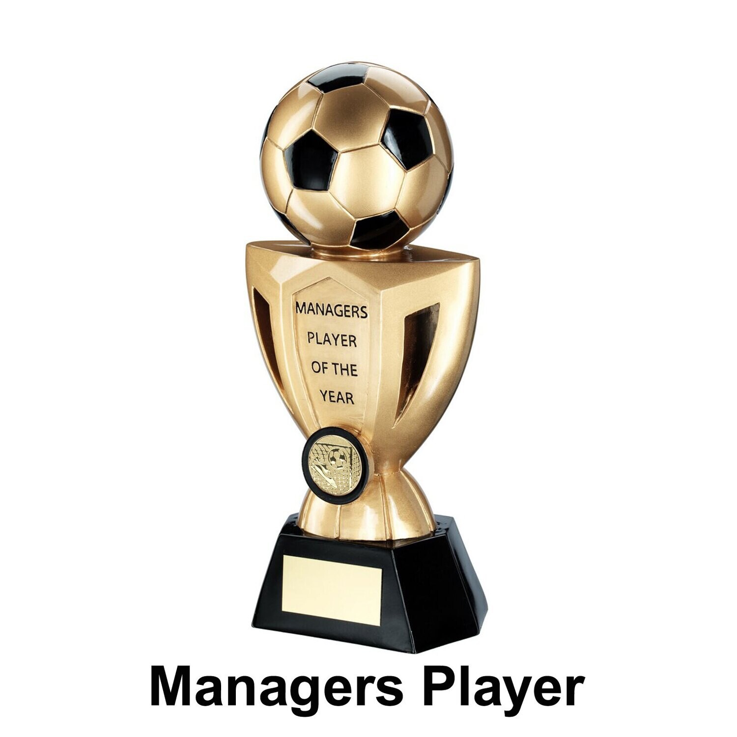 End of Season Football Trophy RF680, Type of Award: Managers Player - RF680MA