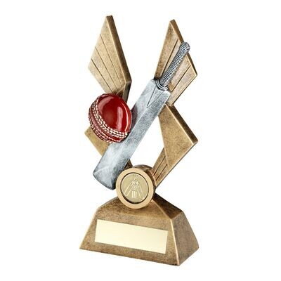 Resin Cricket Trophies RM396