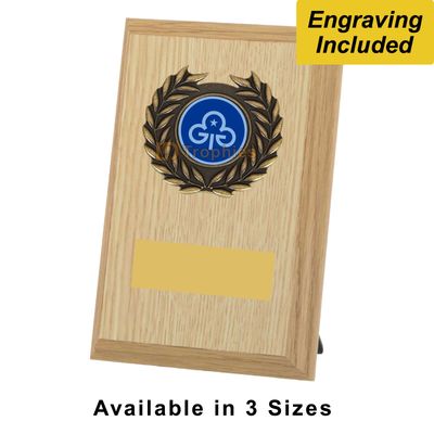 Guides Shield / Plaque - New Guides Trefoil