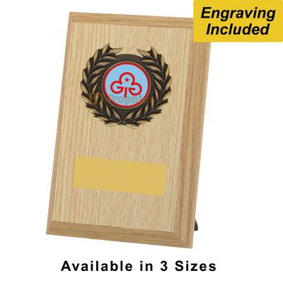 Rainbows Shield / Plaque - New Rainbows Trefoil