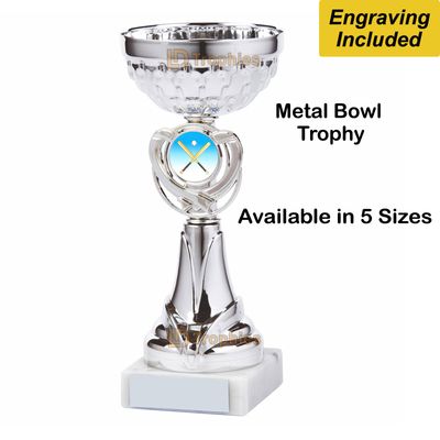 Baseball Trophies / Cups- Silver