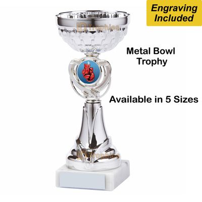 Boxing Trophies / Cups - Silver