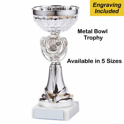 Cricket Trophies / Cups - Silver
