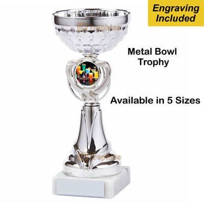 Drinking Games Trophies / Cups - Silver