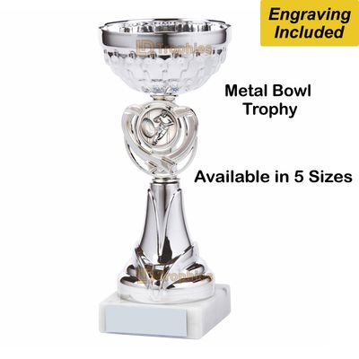 Rugby Trophies / Cups - Silver