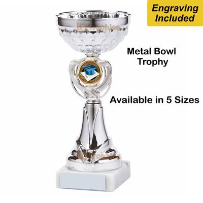 Academic Trophies / Cups - Silver