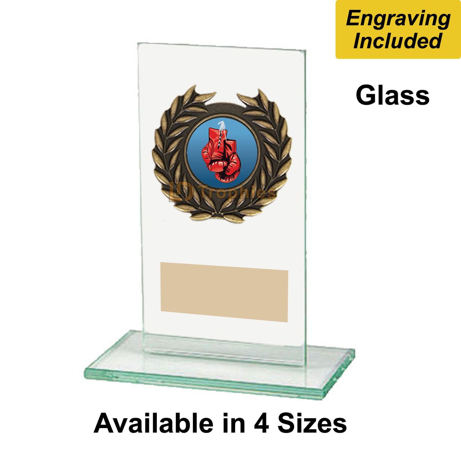 Glass Boxing Trophies - Warrior Range
