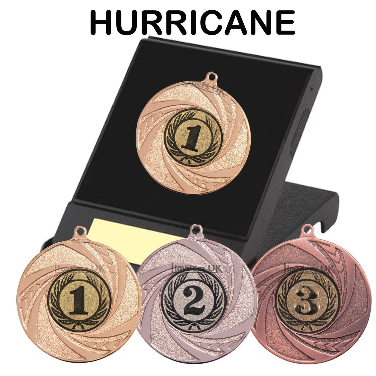 Hurricane Medal in Case