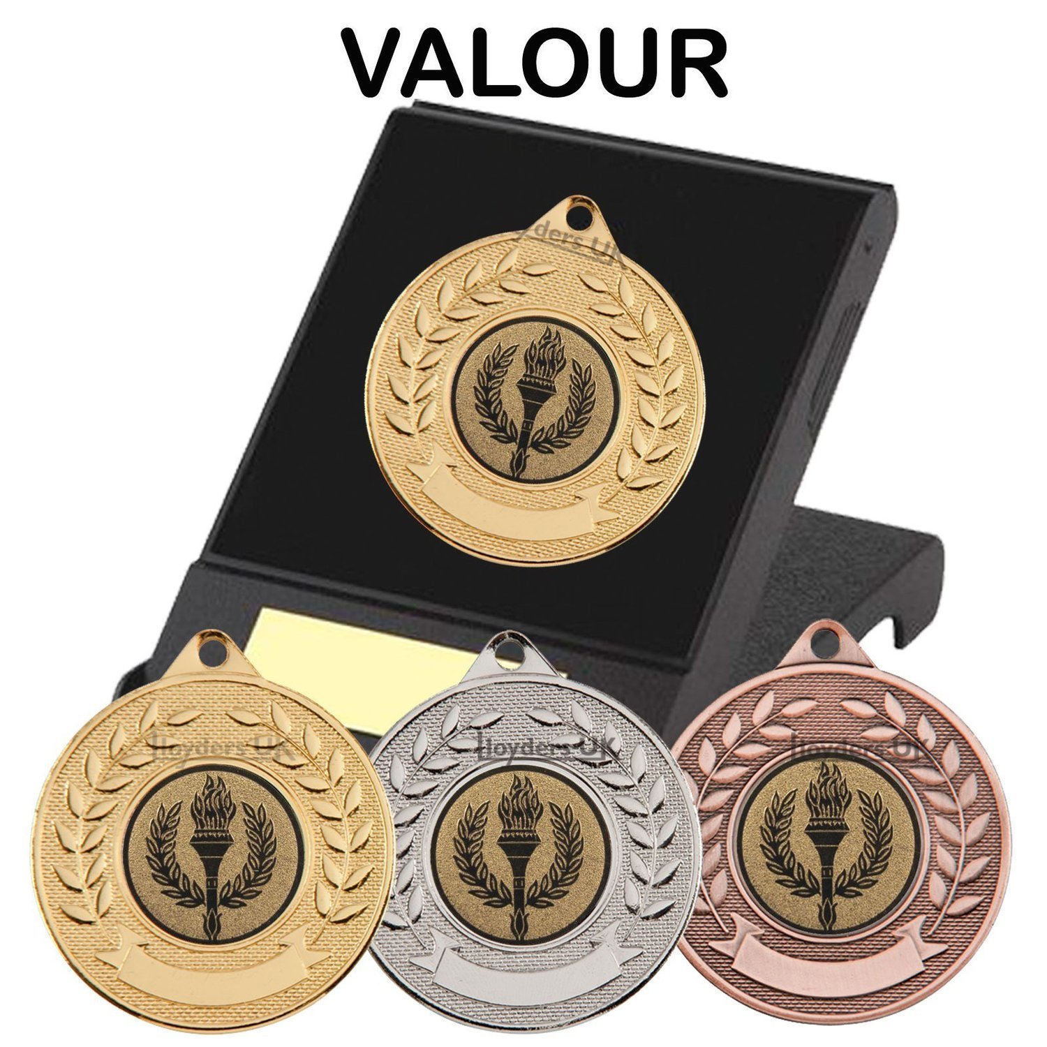 Valour Medal in Case
