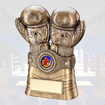 Boxing Trophies