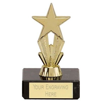 Well Done / Star Trophies