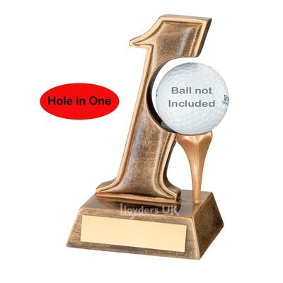 Hole in One