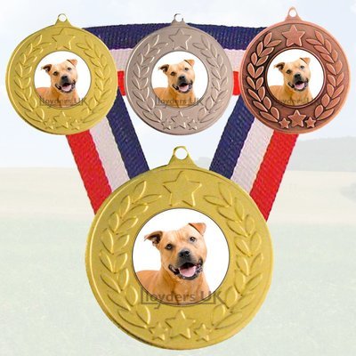 Dog Medal & Ribbon - Staffy